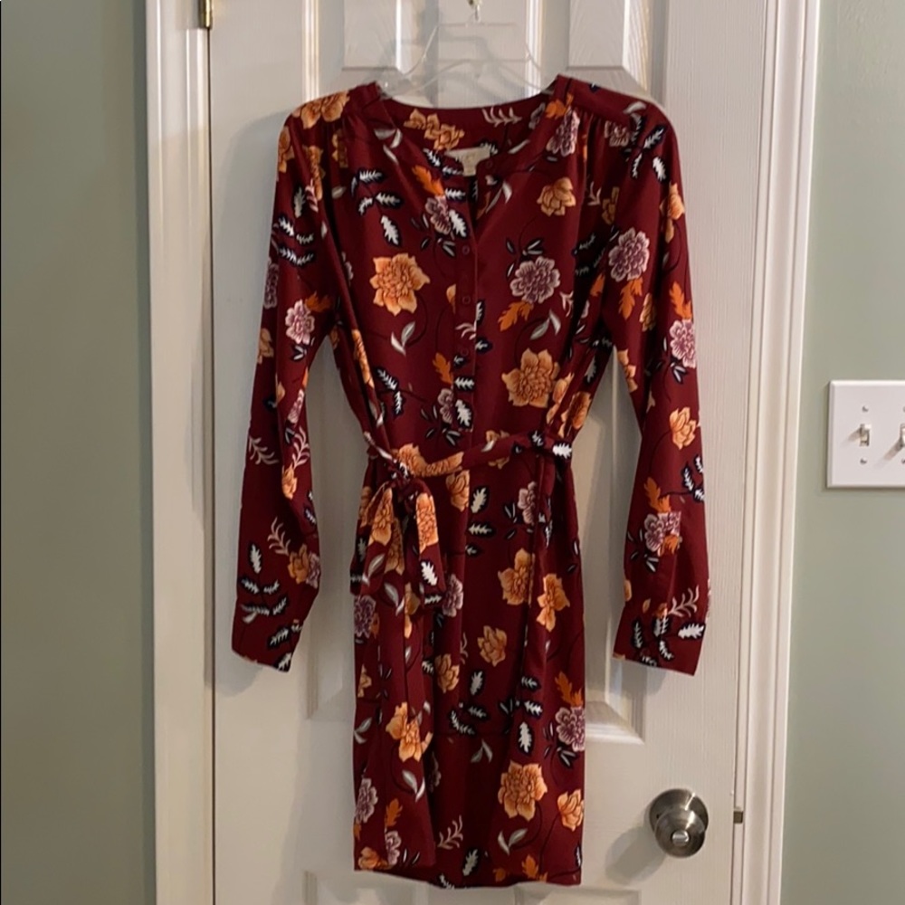 Fall tunic/dress from the Loft Outlet